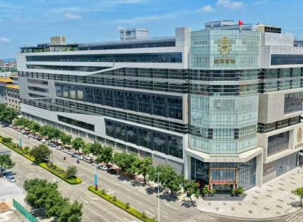 金鼎智造：智能时尚与社会责任的双重探索