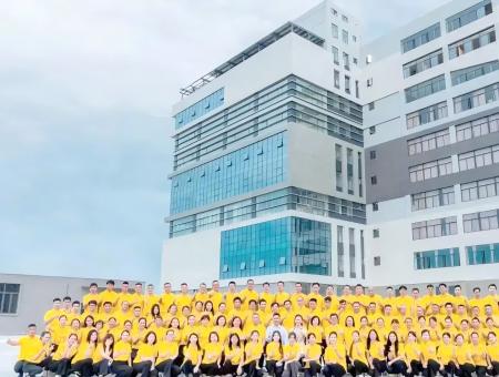 广东金鼎智造：服装智能化转型的先锋与责任担当